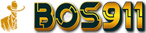 BOS911